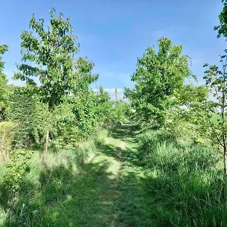 Le Domaine Réservé , Parking Et écrin De Verdure Apartamento