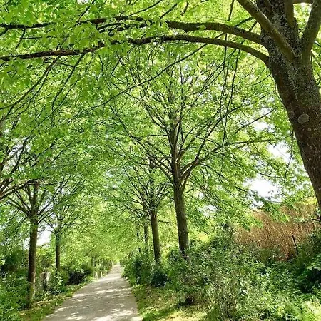 Apartamento Le Domaine Réservé , Parking Et écrin De Verdure *