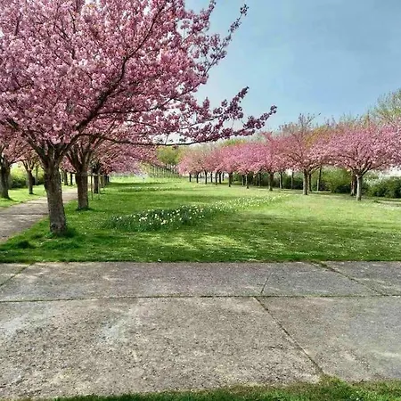 Le Domaine Réservé , Parking Et écrin De Verdure Apartamento Amiens