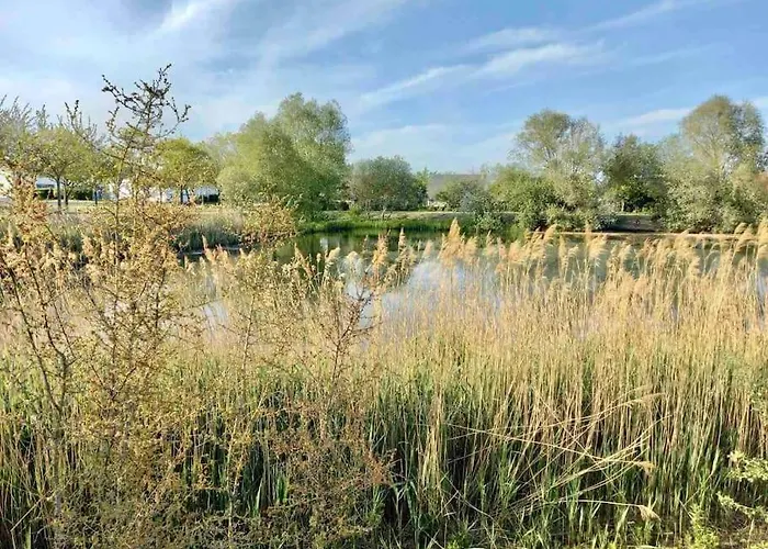 Appartement Le Domaine Réservé , Parking Et écrin De Verdure Amiens
