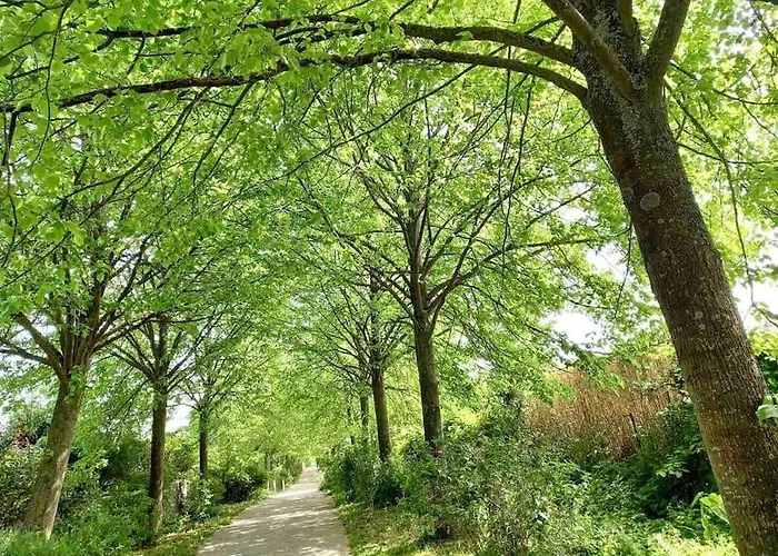 Appartement Le Domaine Réservé , Parking Et écrin De Verdure *