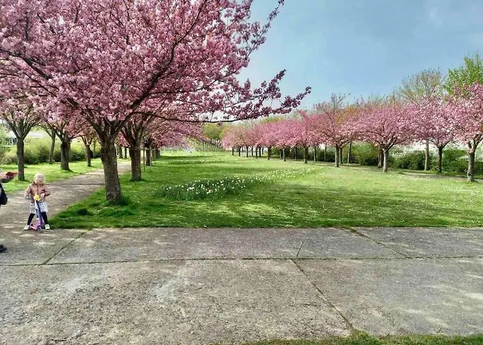 Le Domaine Réservé , Parking Et écrin De Verdure Appartement Amiens
